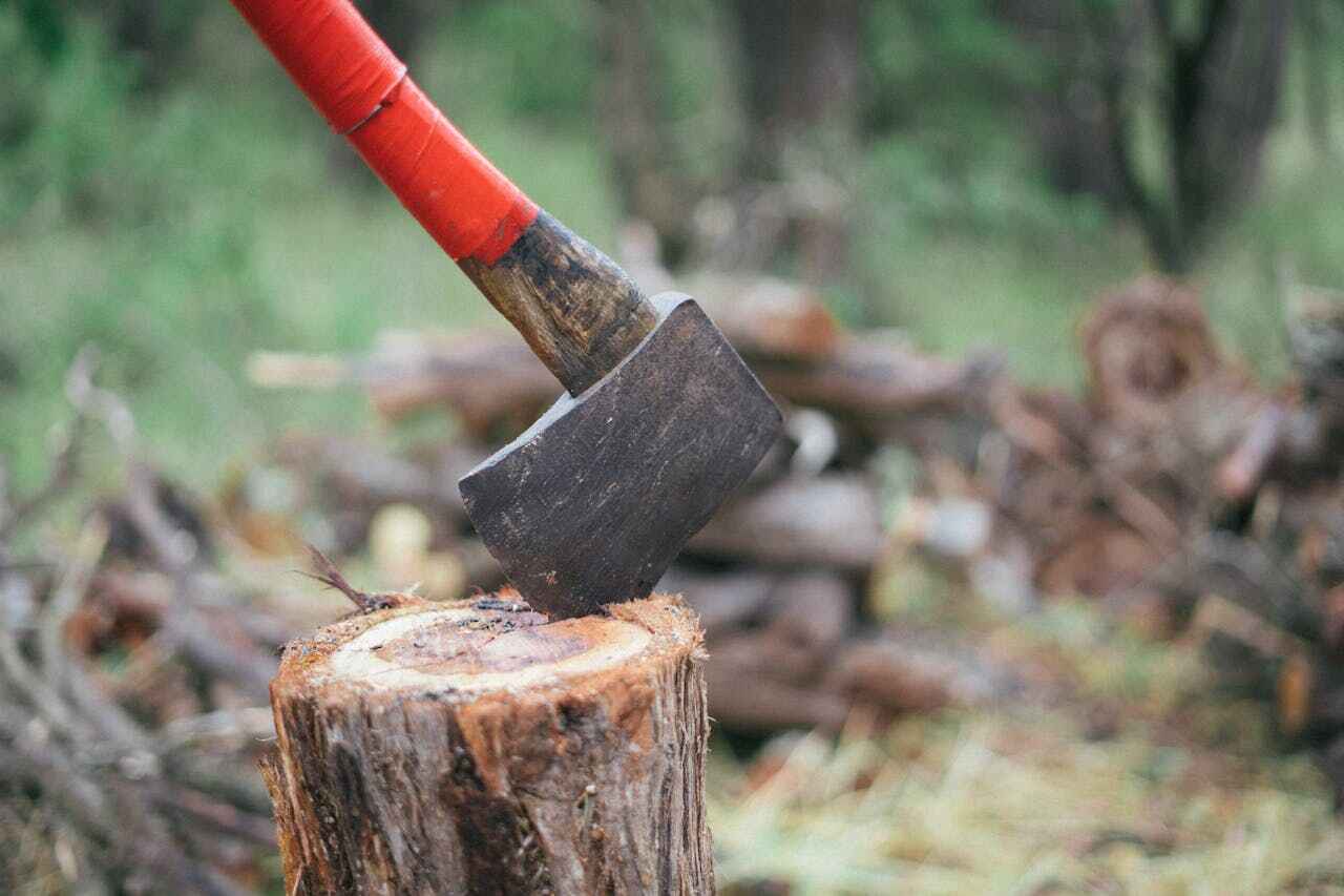 Best Tree Trimming Near Me  in Buchanan, GA